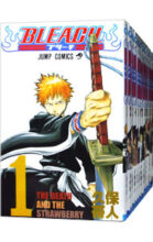 BLEACH ブリーチ コミック 全74巻 完結セット