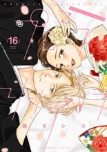 プロミス・シンデレラ コミック 完結 全16巻セット