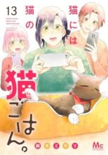 猫には猫の猫ごはん。　コミック　1-13巻セット