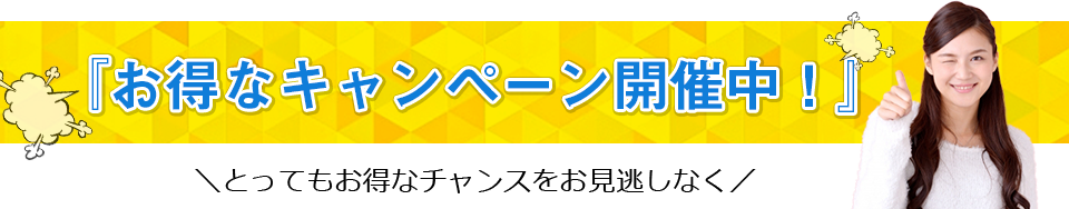 お得なキャンペーン開催中!とってもお得なチャンスをお見逃しなく。