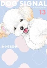 ドッグシグナル DOG SIGNAL コミック 1-13巻セット