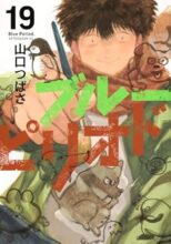 ブルーピリオド　コミック　1-19巻セット